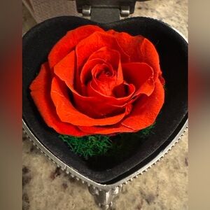 Preserved Red Rose Heart Keepsake Box – Handmade Valentine’s Gift